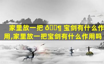 家里放一把 🐶 宝剑有什么作用,家里放一把宝剑有什么作用吗